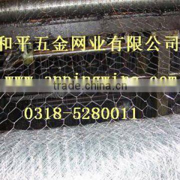 hexagonal wire mesh