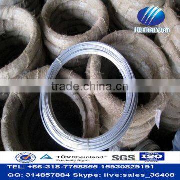 Wholesale hot-dipped galvanized iron wire binding wire good price (factory)