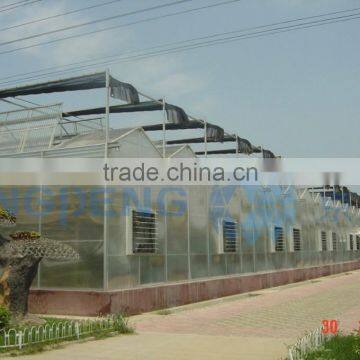 Fully Openable Roof Film Greenhouse ISO9001:2000 photo-2