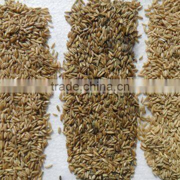 Anhui Manufacturer LED Ccd Corn Color Sorter Machine photo-6