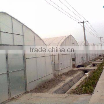 the Most Cheap Tunnel Greenhouse for Fruit photo-6