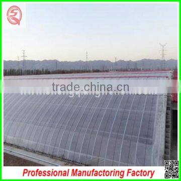 Multi Span Agricultural Film Greenhouse for Potatoes for Sale photo-4