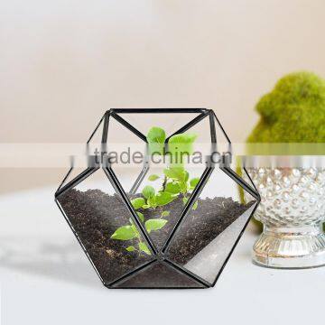 One Face Opening / Cube Terrarium / Indoor Mini Modern Planter / Handmade / For Airplant Vintage Glass Terrarium Box photo-5