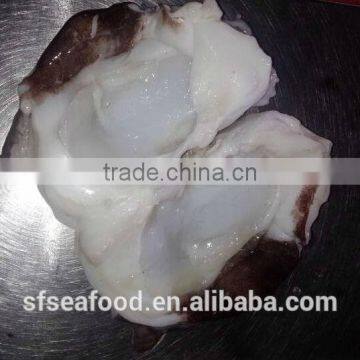 Good Quality Seafood Frozen Giant Squid Neck photo-4