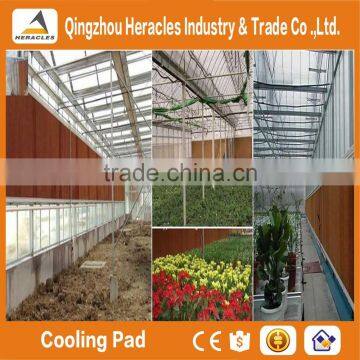 Heracles Hot Sale 5090 Evaporative Cooling Pad for Poultry Farm and Green House photo-3