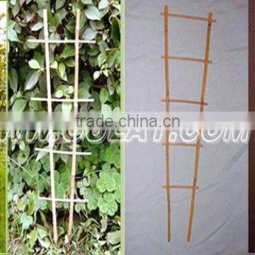 Bamboo Poles Flower Trellis for Garden Support photo-4