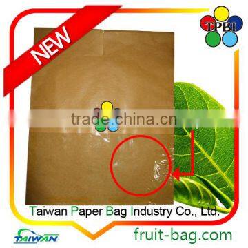 Small Bag Taiwan Factory Wax Apple Protection Paper Bag Custom Packaging Bag photo-3