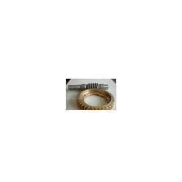 Custom Worms and Worm Gears
