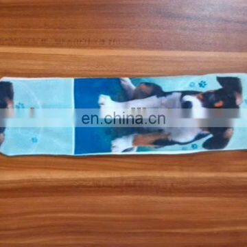 dog mirror printing sock