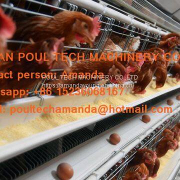 Myanmar Chicken Farm Automatic Egg Chicken Cage & Layer Cage & Hen Cage with 90-200 birds in Chicken Shed