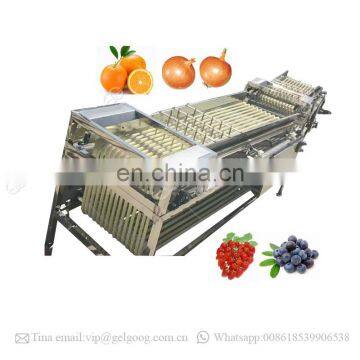 Cherry Tomato Grader Olive Grading Fruit Washing And Sorting Machine photo-4
