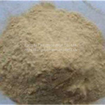 Sophora Root Extract Factory
