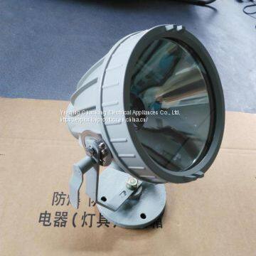 Split Explosion-proof Lamp Explosion Proof Spotlight BAT51-J1000W photo-3