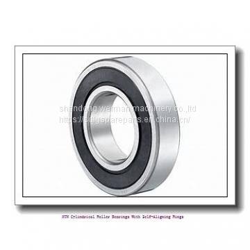 NTN Cylindrical Roller Bearings With Self-Aligning Rings