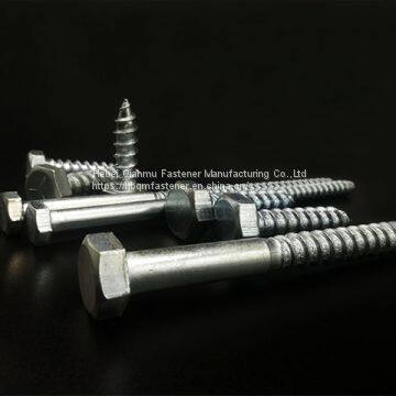 DIN571 M6 M12 Hex Head Wood Screw Fastener photo-4