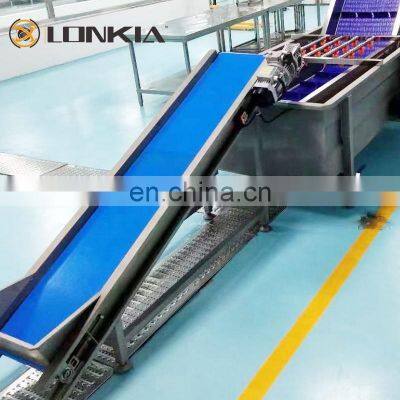 Custom 304/316 Stainless Steel Belt Conveyor Food Grade PU White Belt Conveyor photo-3