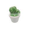 Customized Hand Painted Green Plant Cactus Shape Ceramic Cookie Candy Storage Jar Canister With Lid