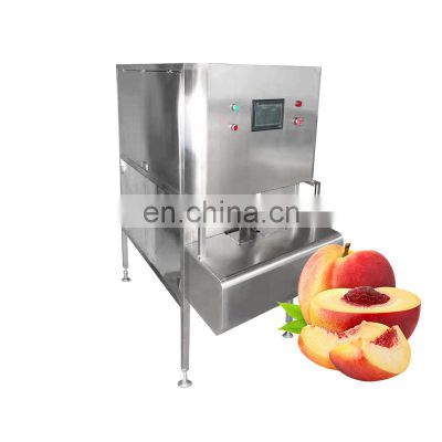 Industrial Mango Peach Orange Lemon Persimmon Apple Automatic Fruit Peeler Pineapple Peeling Machine