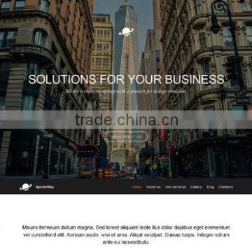 Professional CMS Web Design photo-2