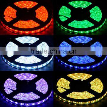 Factory Price Adressable SMD 5050 Rgbw Led Strip With 40 Key Controller Led Par Light photo-2