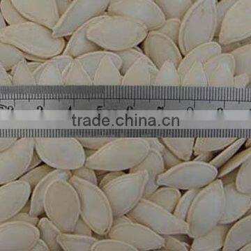 Skin Pumpkin Seeds, Shell 9mm Pumpkin Seeds, Sunshine Pumpkin Seeds