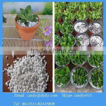 Horticultural perlite price