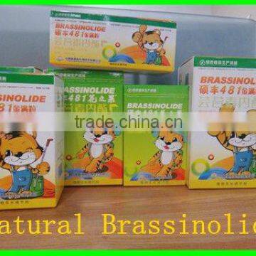 Natural brassinolide 90% TC