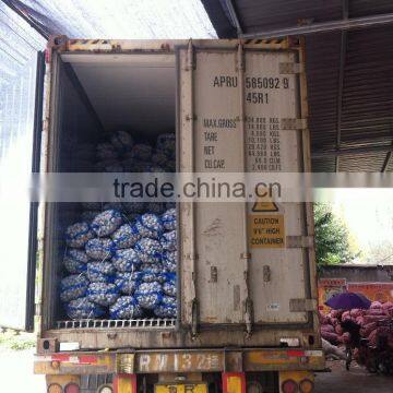 China Red Garlic Price Store Garlic photo-6