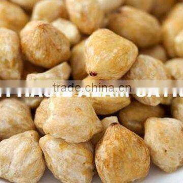 Common Cultivation Premium Candle Nuts From Indonesia Pure and Organic