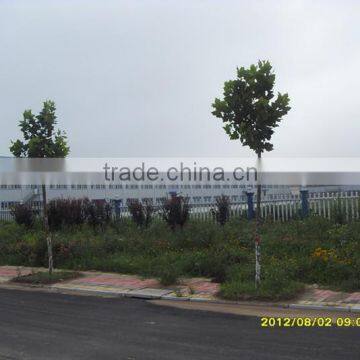 pre engineered steel buildings/warehouse/workshop/gym/hall