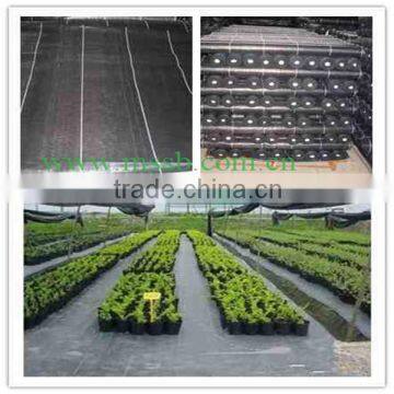 plastic landscape ground cover