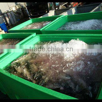 ningbo 600L plastic ice box fish