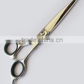 Professional Hairdressing Scissors 1331