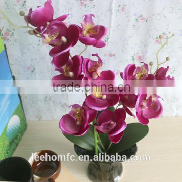 preserved artificial orchid in black ceramic pot for home decoration