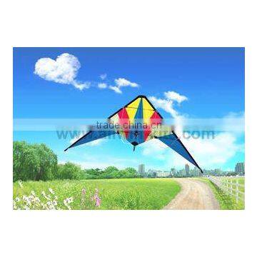 Dual Line Delta Stunt Kites - Straight Edge Kites