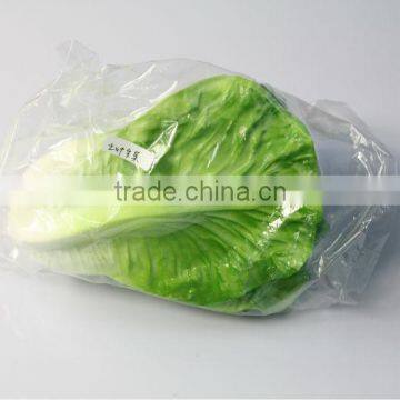 Guangzhou decorative vegetable lettuce wholesale