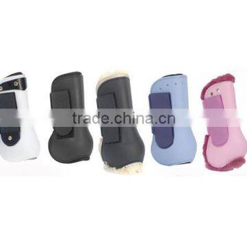 Horse Equipment and Horse Rug