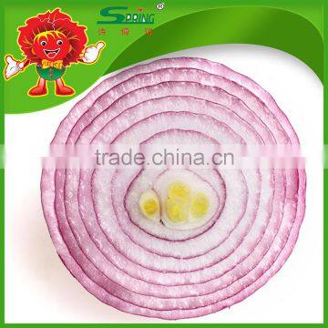 2015 crop fresh red onion in mesh bag onions in bulk