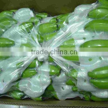 Green Indian Cavendish Bananas