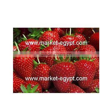 Strawberry From Market Egypt