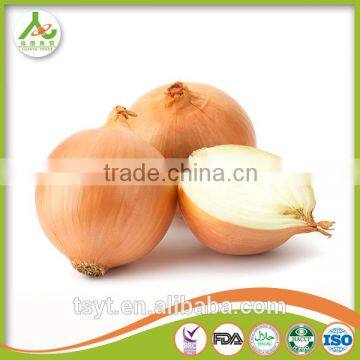 fresh yellow small onion in china