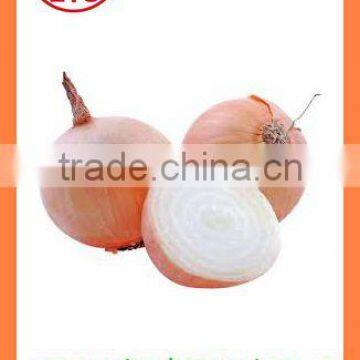 2016 BUlk MARKET PRICE Fresh Yellow Onion photo-6