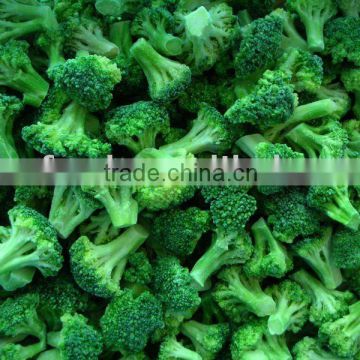 Frozen IQF bulk fresh broccoli