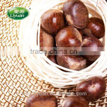 Hot Sale Top Quality Chinese Fresh Chestnuts, Sweet and Easy Peeling photo-2