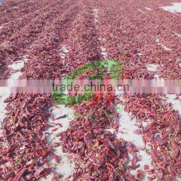 Pure Red Sweet Paprika Whole