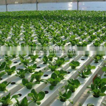 Green House NFT PVC Hydroponic pipe for vegetables