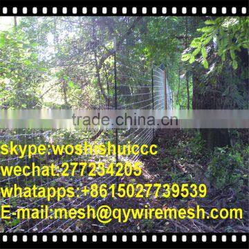 Ring Lock Galvanized Field Fence / Deer Wire (ISO9001,CE,SGS) photo-6