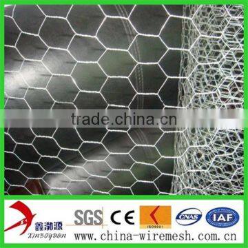 Galvanized Hexagonal Netting/Hexagonal Mesh/zine Coat photo-3