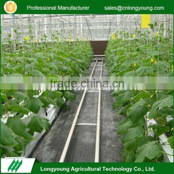 New fashion commercial greenhouse hydroponic growing systems indoor