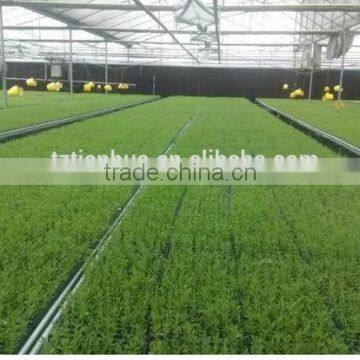 Latest Fashion Top Sell Competitive Price Nursery Seeding Tray photo-2